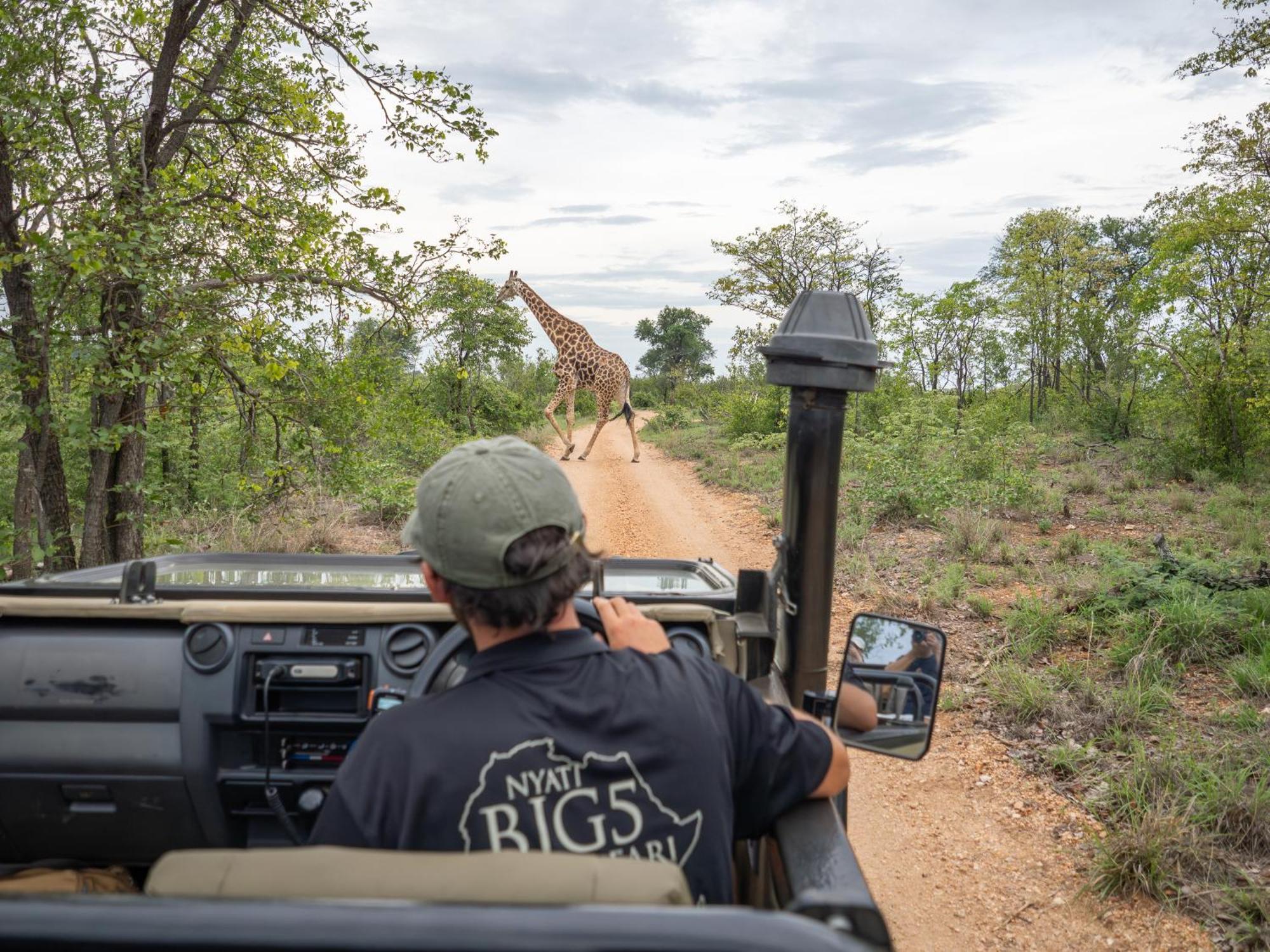 Nyati Safari Lodge Hoedspruit Zewnętrze zdjęcie