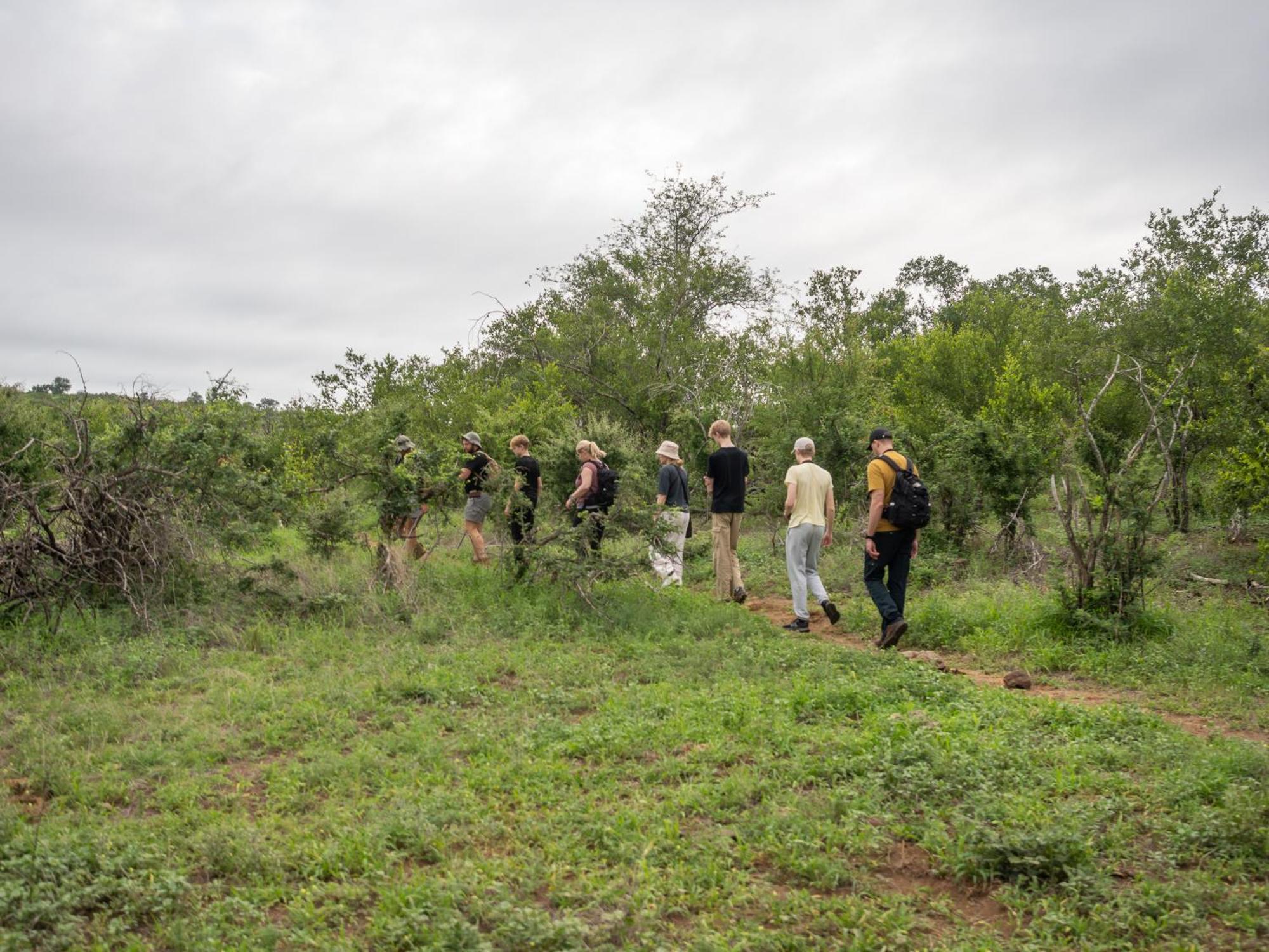 Nyati Safari Lodge Hoedspruit Zewnętrze zdjęcie