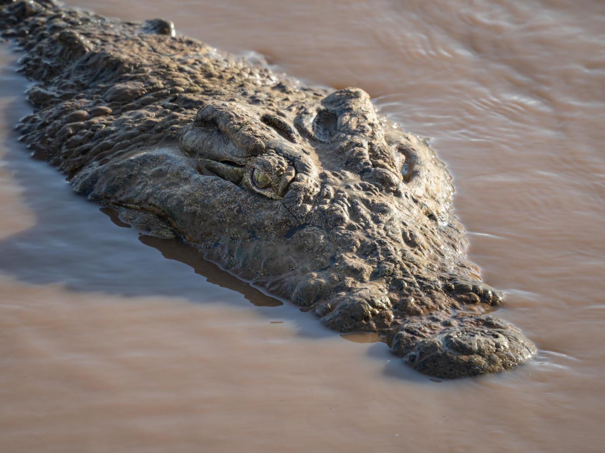 Nyati Safari Lodge Hoedspruit Zewnętrze zdjęcie